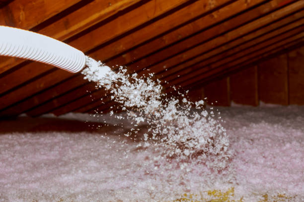 Best Geographic-Specific Insulation Services in Ponderosa Park, CO