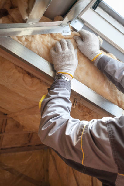 Professional Insulation Contractor in Ponderosa Park, CO
