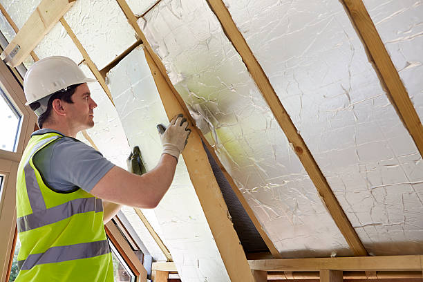 Best Blown-in Insulation in Ponderosa Park, CO