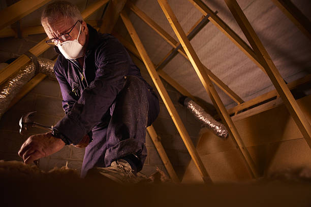 Types of Insulation We Offer in Ponderosa Park, CO